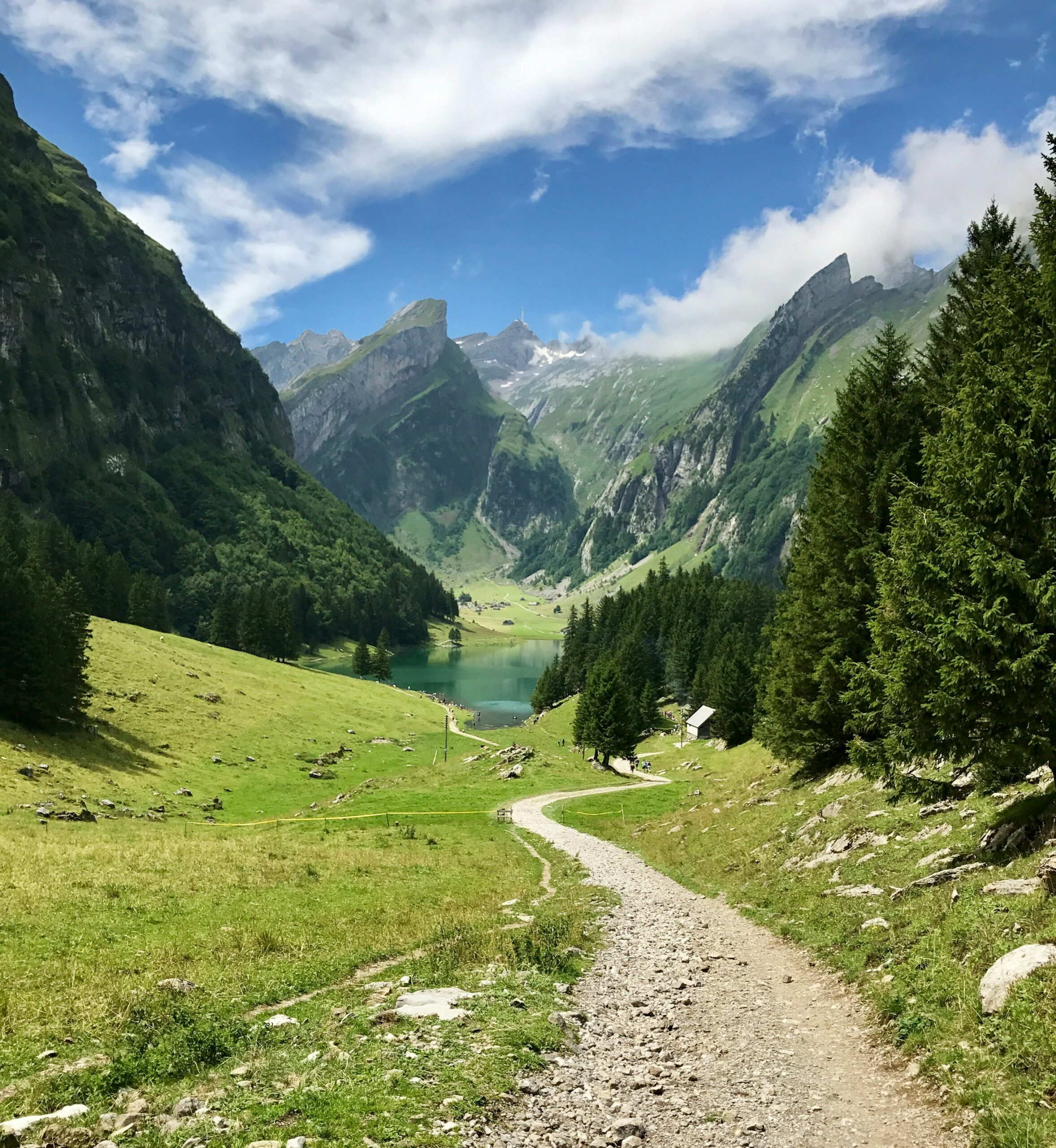 Weg in der Natur